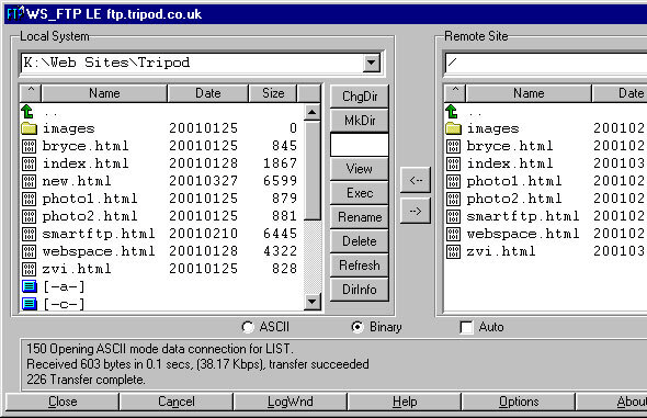 WS_FTP的屏幕截图，这是一个在90年代特别流行的WindowsFTP客户端。